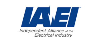 IAEI Logo
