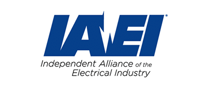 IAEI Logo